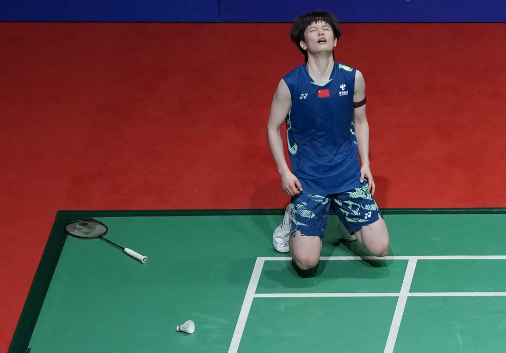 小蜘蛛的传 小蜘蛛的传