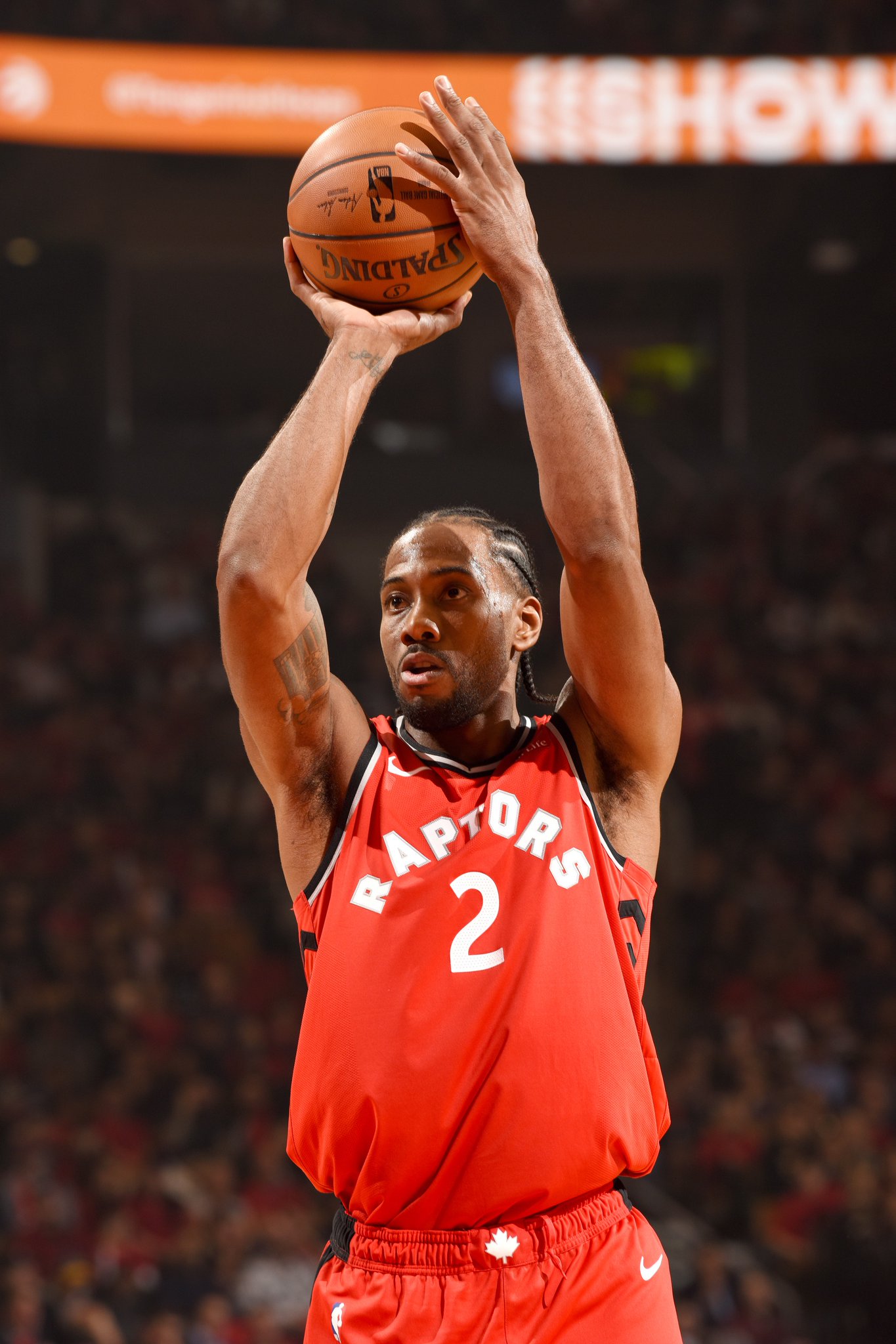 牛棚层级化 牛棚层级化